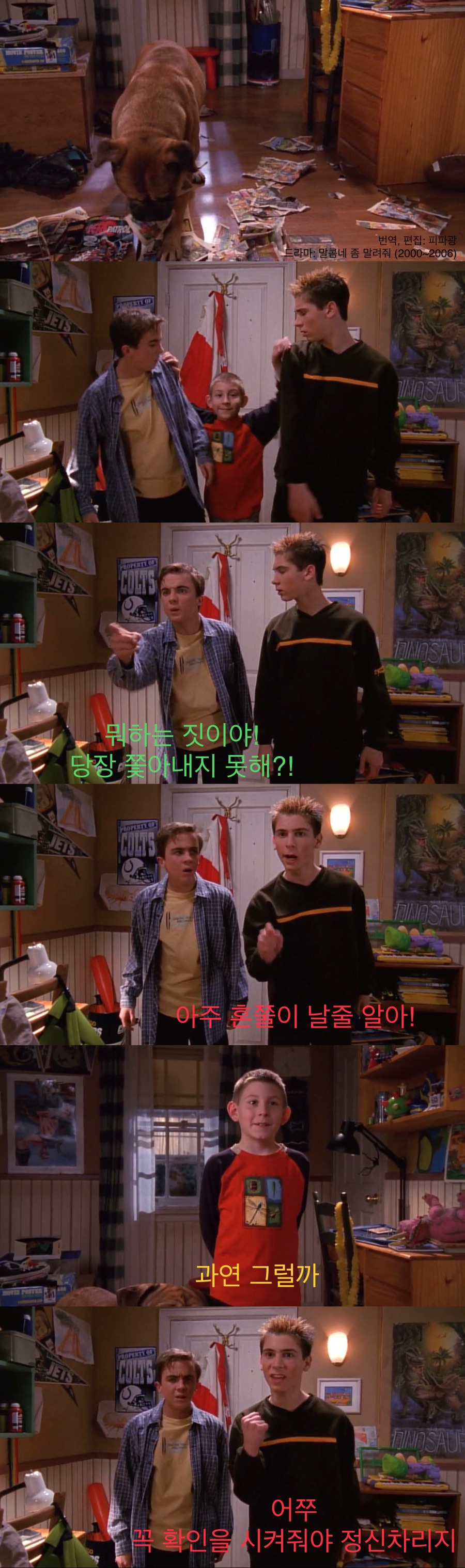개를 주워온 동생.jpg_1.jpg