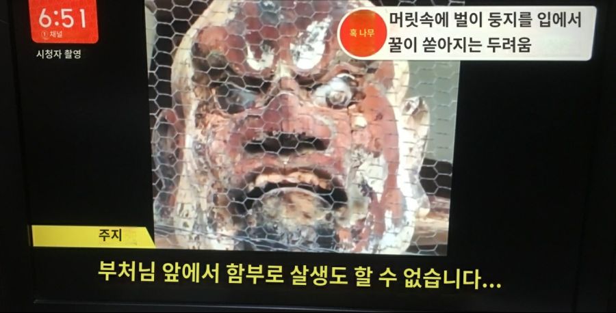 일본의 달달한 인왕상_4.jpg