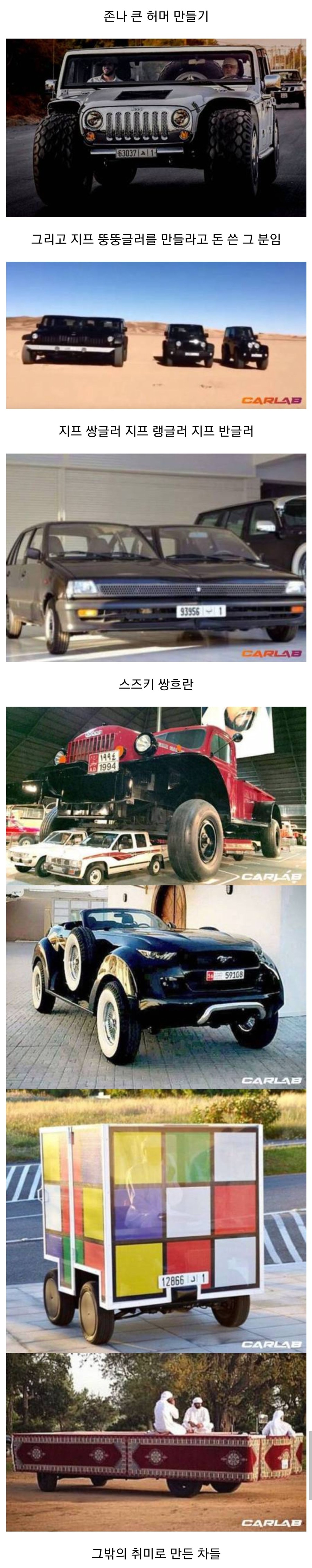 돈이 많은 기름부자의 취미.jpg_2.jpg