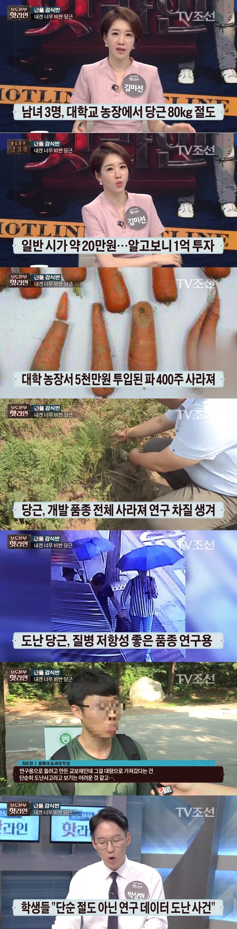 전설의 1억 당근 서리사건_1.jpg