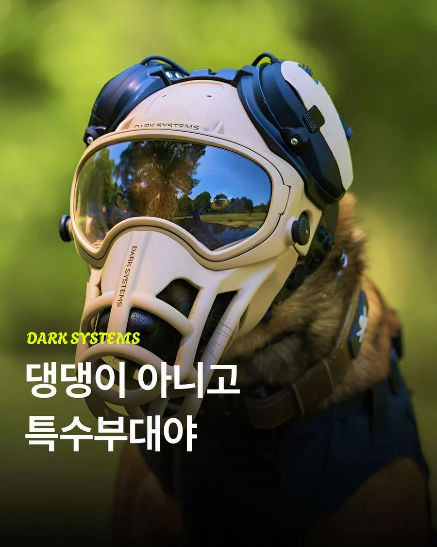 군견용 특수장비.webp_1.webp