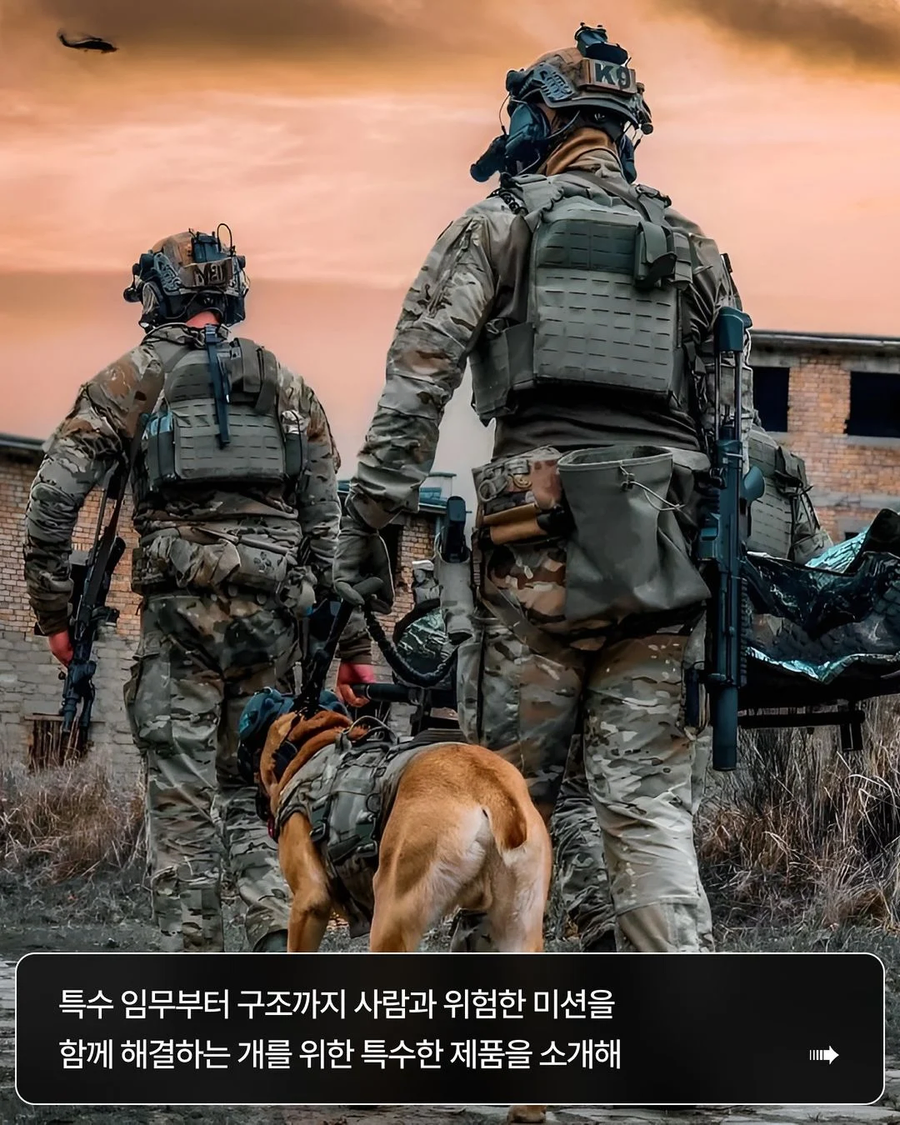 군견용 특수장비.webp_2.webp
