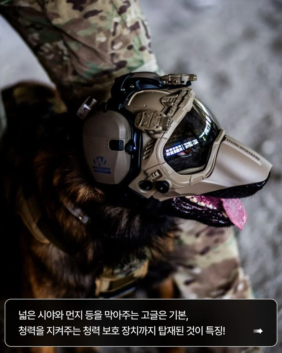 군견용 특수장비.webp_4.webp