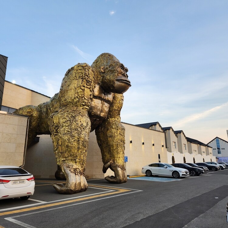 한국을 너무 우숩게 본 일본 국뽕 방송. jpg_2.jpg