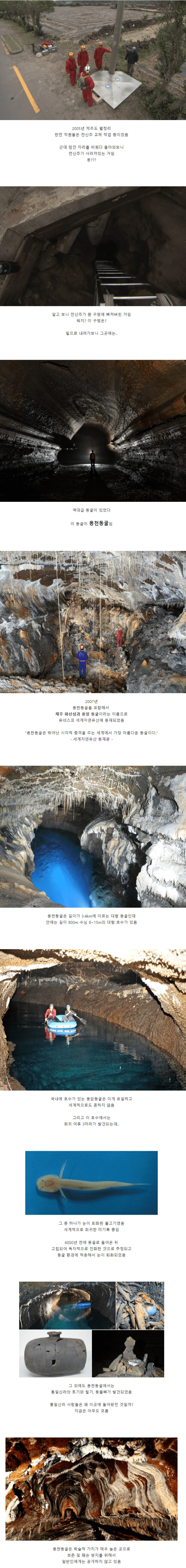 전신주 작업하다 발견한 동굴.jpg_1.png