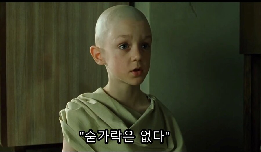 영화) 매트릭스 1편의 불교적 메세지