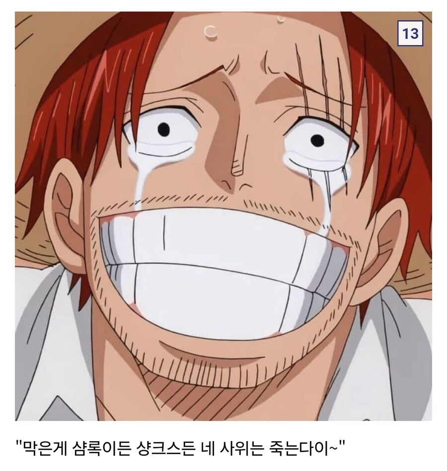 원피스 배은망덕 로저 해적단_2.jpg