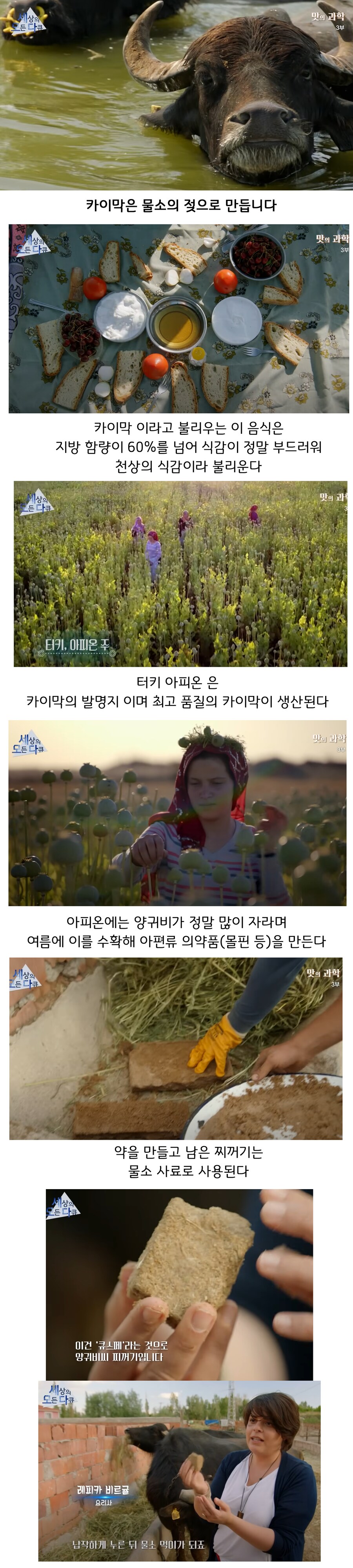 동물 복지 음식이 맛있는 이유 jpg_1.png