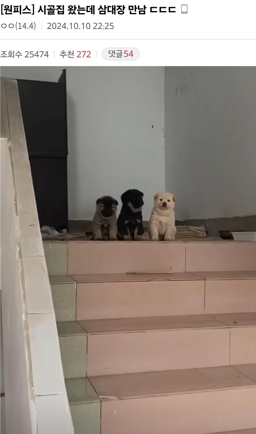 시골 3대장.jpg_1.png