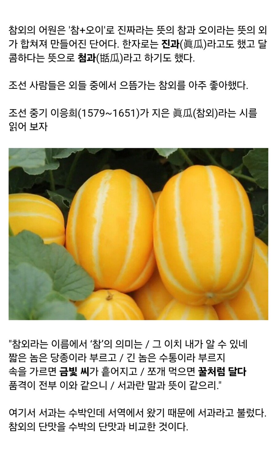 조선 사람들의 여름을 책임졌던 과일_1.jpg