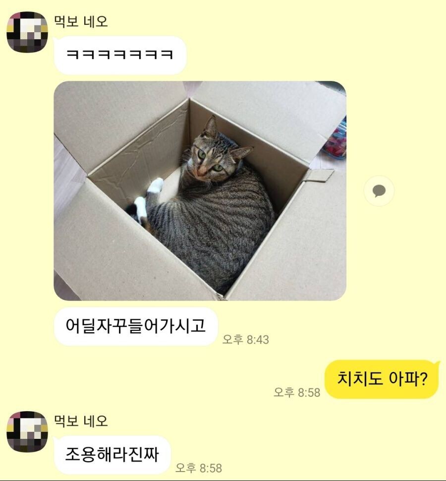 몸이 안좋으면 살이 찐다는 여사친_2.jpg