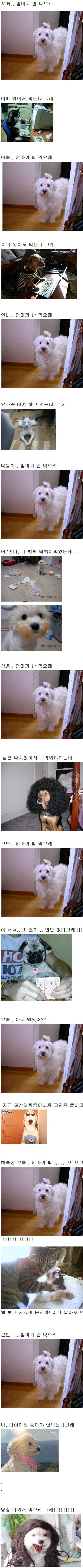 오빠 엄마가 밥 먹으래.jpg_1.jpg