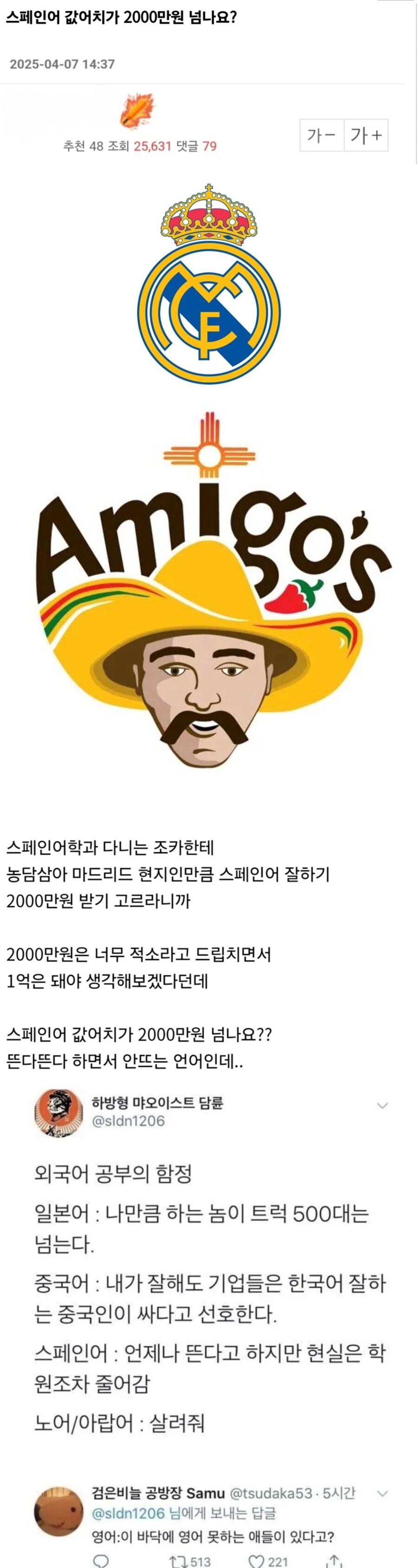 스페인어 전공자,