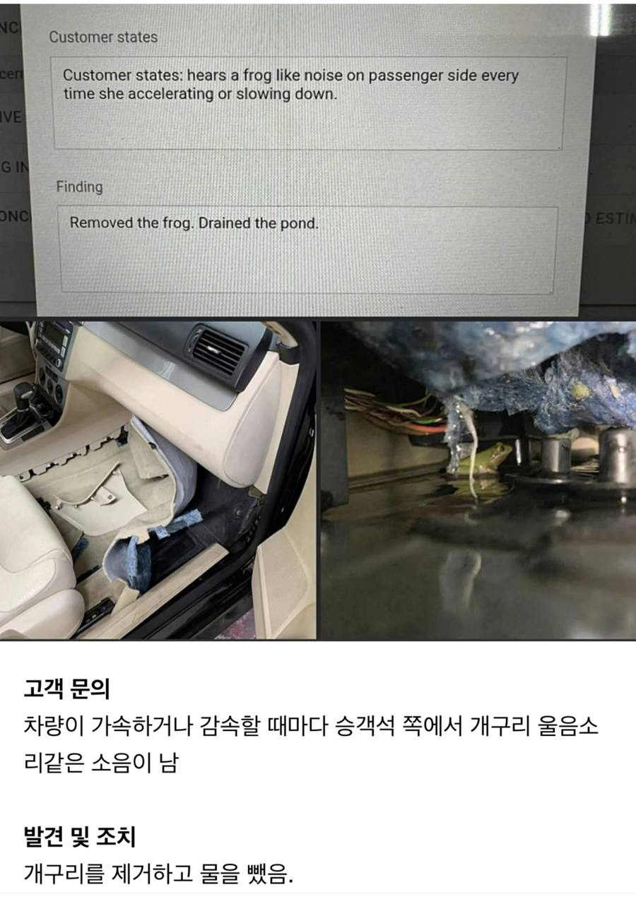 정확한 피드백_1.webp