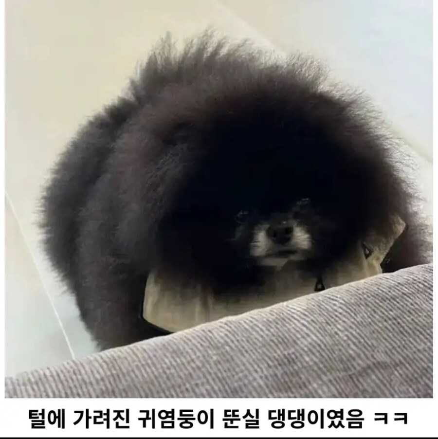 외눈박이 생명체 발견!!_2.jpg