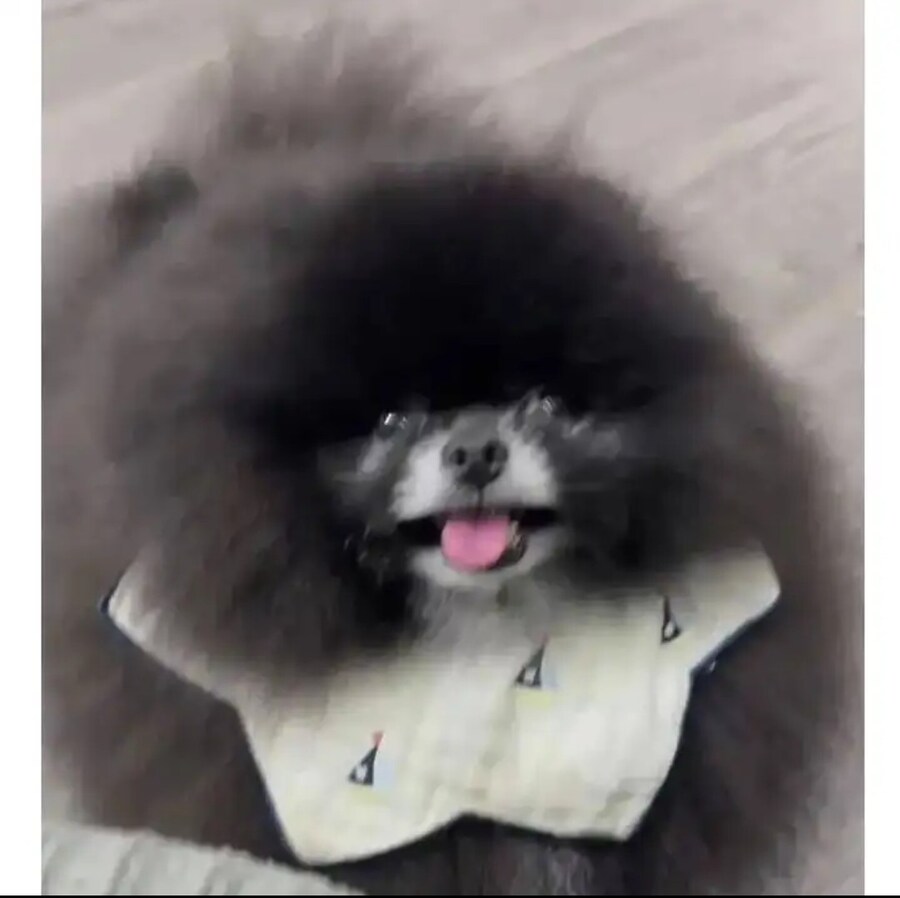 외눈박이 생명체 발견!!_3.jpg