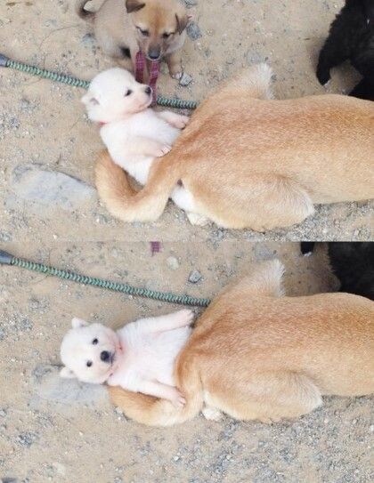 러브버그가 귀엽기라도 했다면_1.jpg