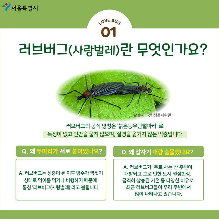 러브버그가 익충이라는 논리 자체도 문제 있음_1.jpg