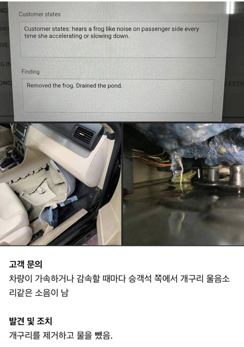 차에서 개구리 소리가 납니다_1.jpg