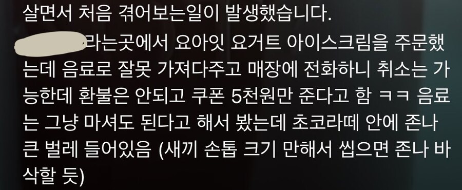 바퀴벌레로 난리난 카페_2.jpg