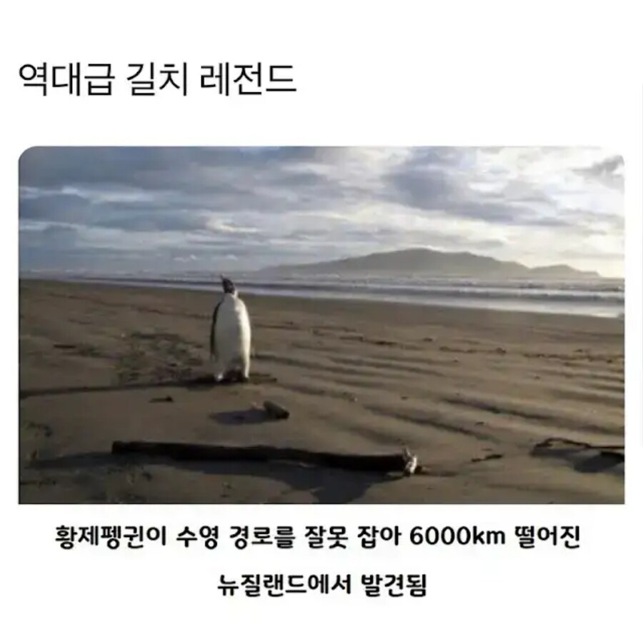 역대급 길치 레전드_1.jpg
