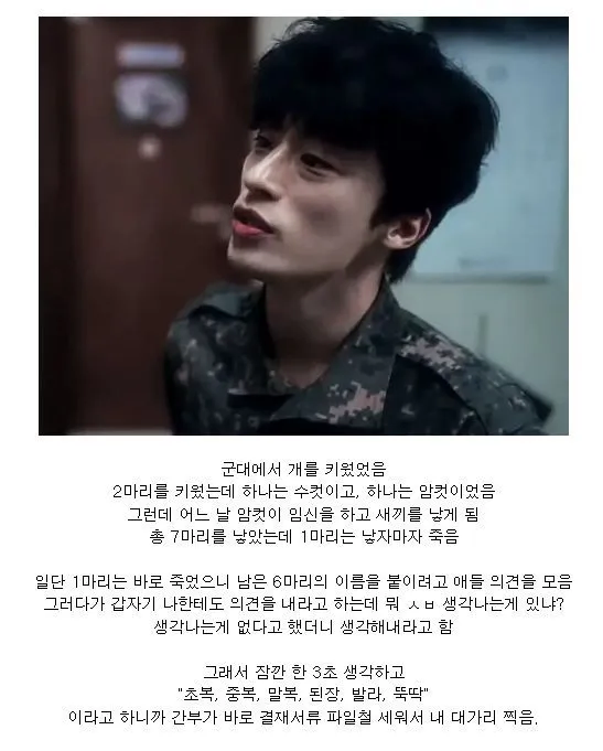 개 이름이 마음에 안 든다고 병사 폭행하는 간부_1.webp