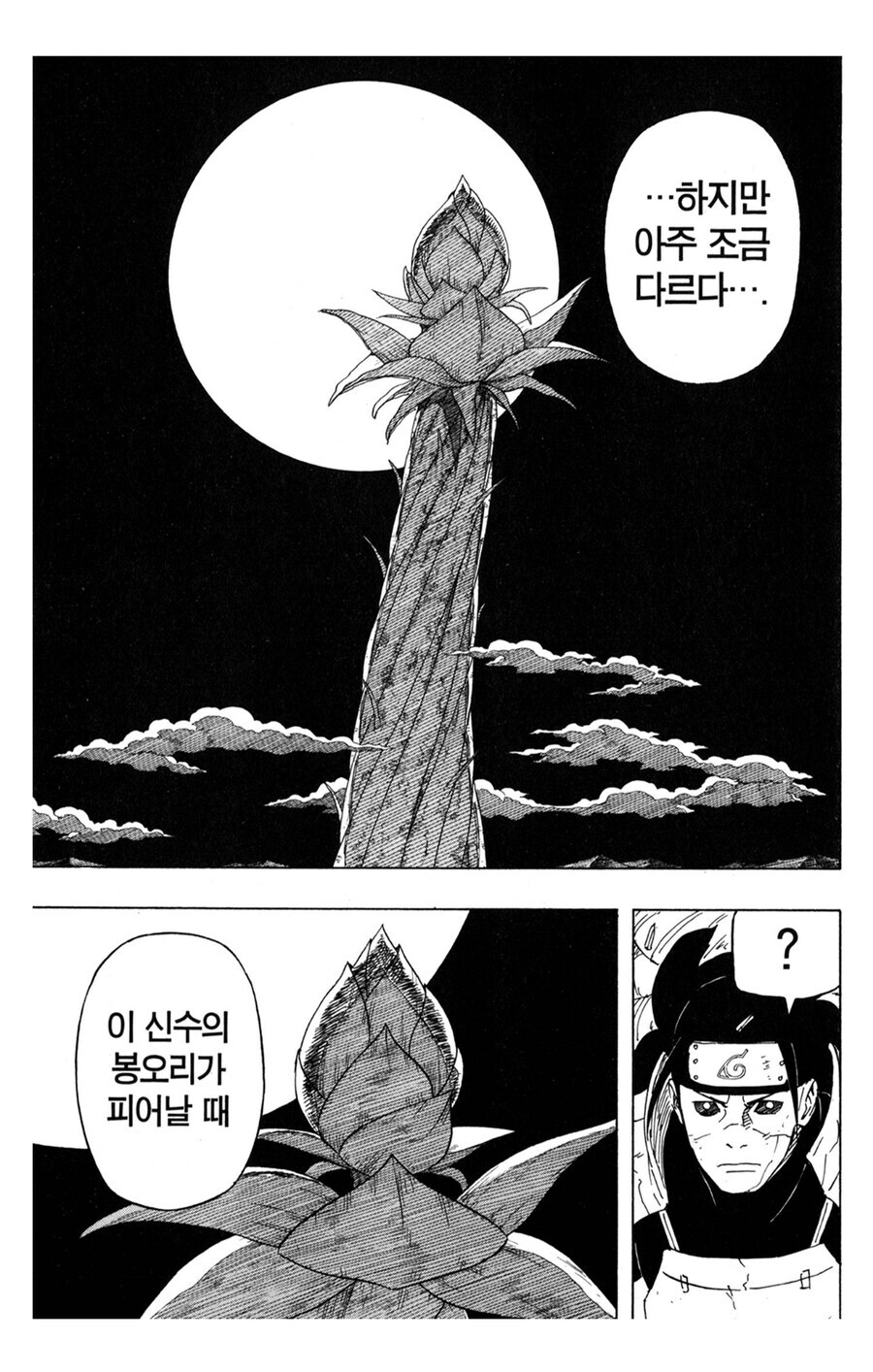 나루토 마다라 관련 되게 묘한 부분_5.jpg