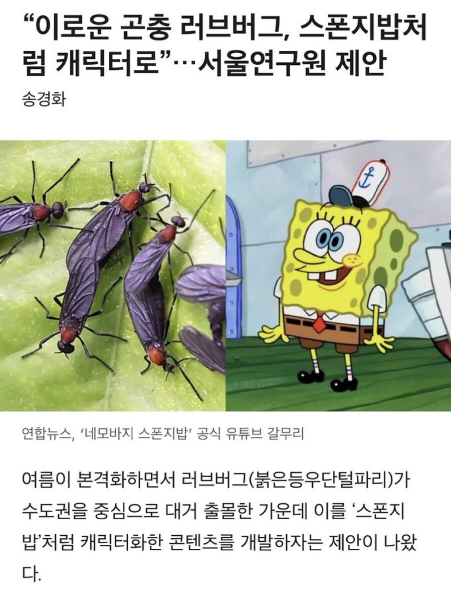 러브버그에 대한 서울시의 대책_1.png