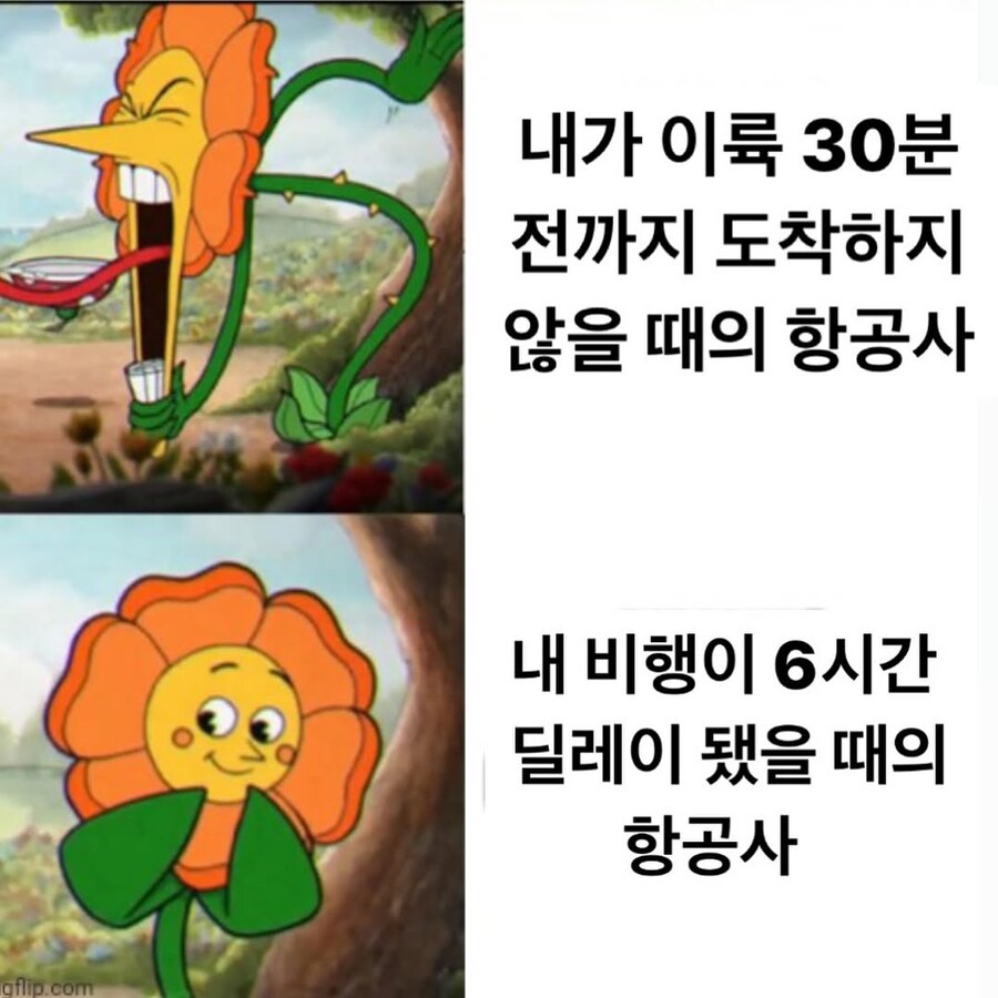 내로남불 항공사 특.jpg_1.jpg