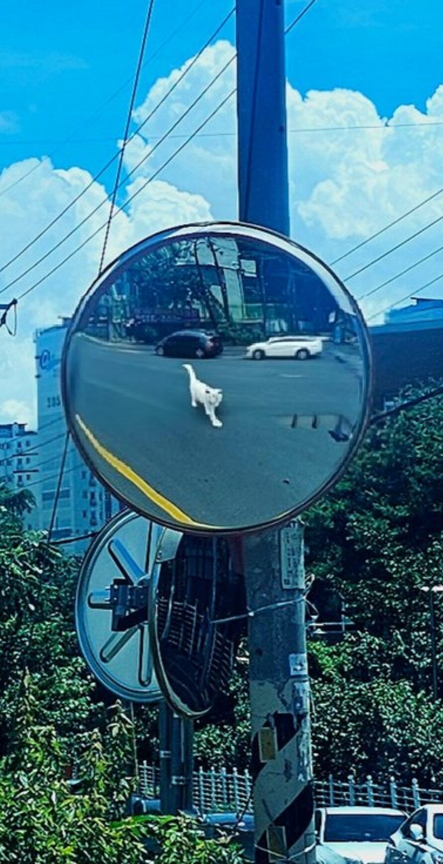 AI 야 사람 지워줘_4.jpg