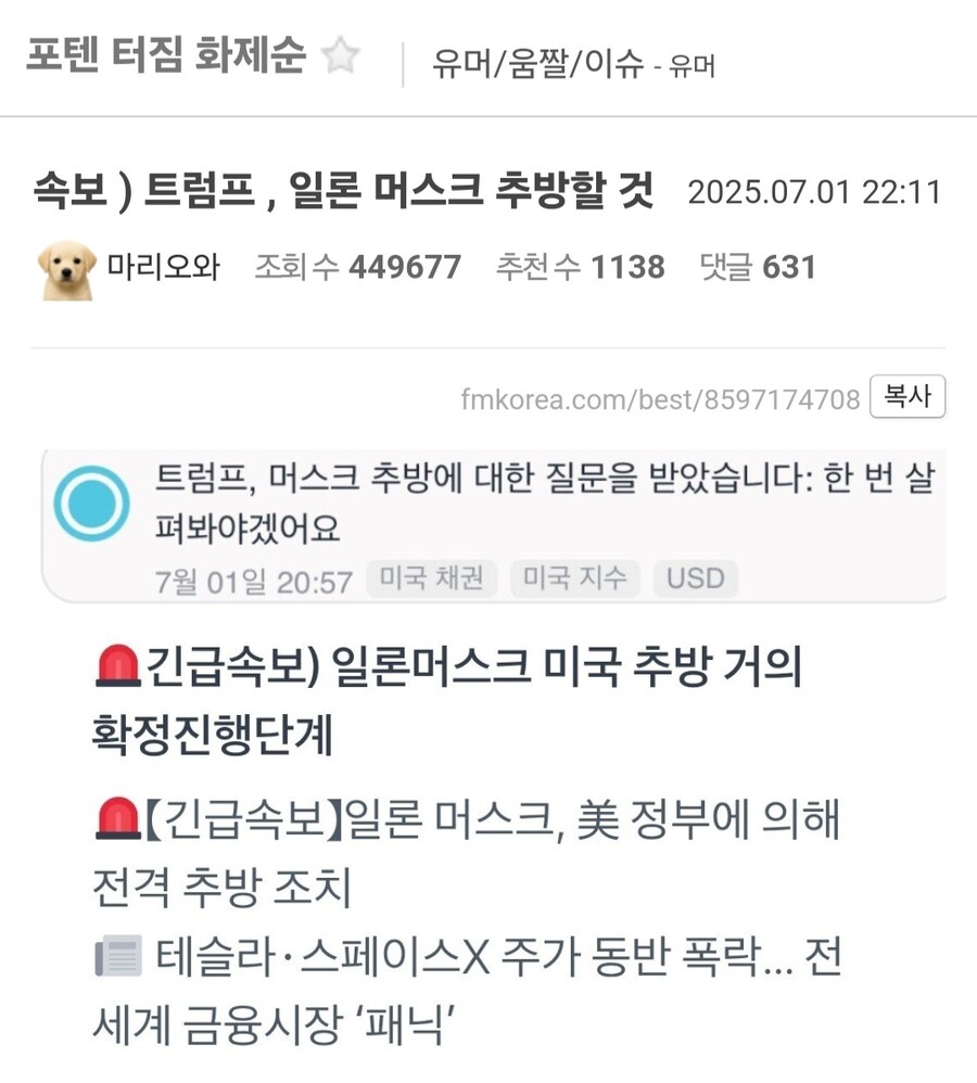트럼프 머스크 싸우는 이유.jpg_1.jpg