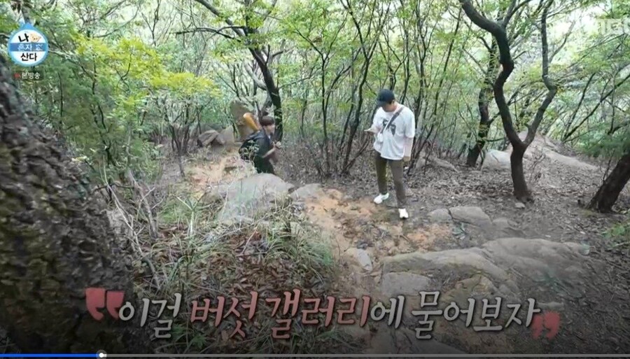 버섯갤러리에 라면에 넣어먹을 버섯물어보는_6.jpg