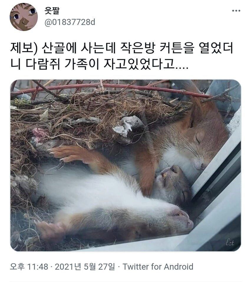 산골에서 살면 볼 수 있다는 장면_1.jpg