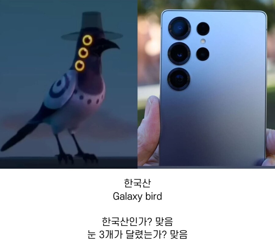 케이팝)까치 해외 별명_1.jpg