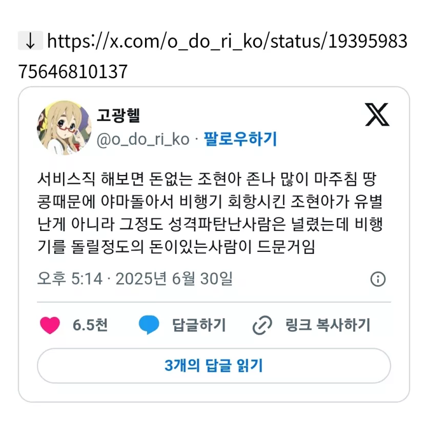 서비스직 해보면 돈없는 조현아 많이 마주침.jpg_1.webp