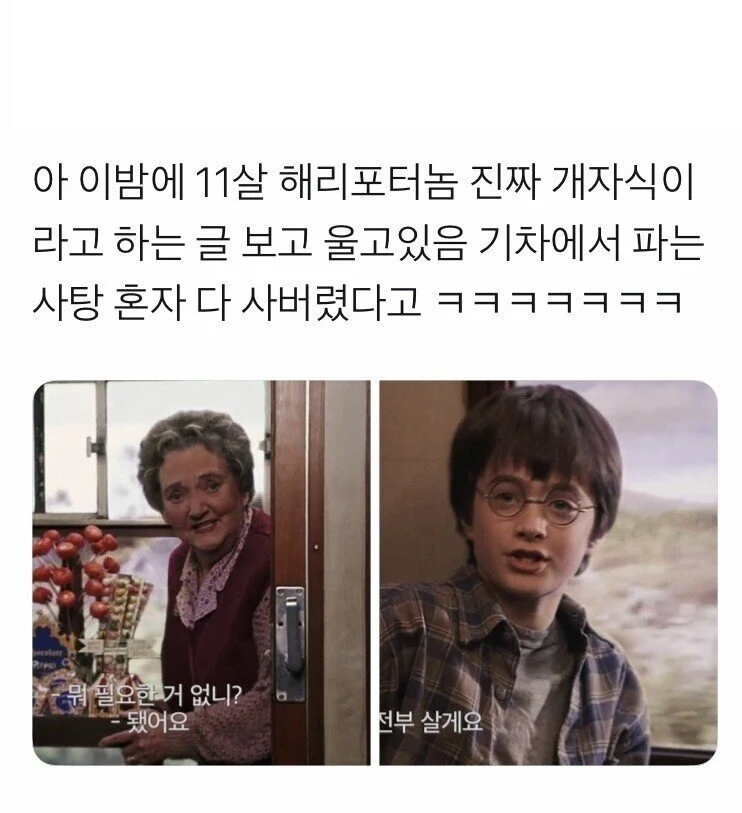 해리포터가 첫날부터 네임드였던 진짜 이유_1.webp
