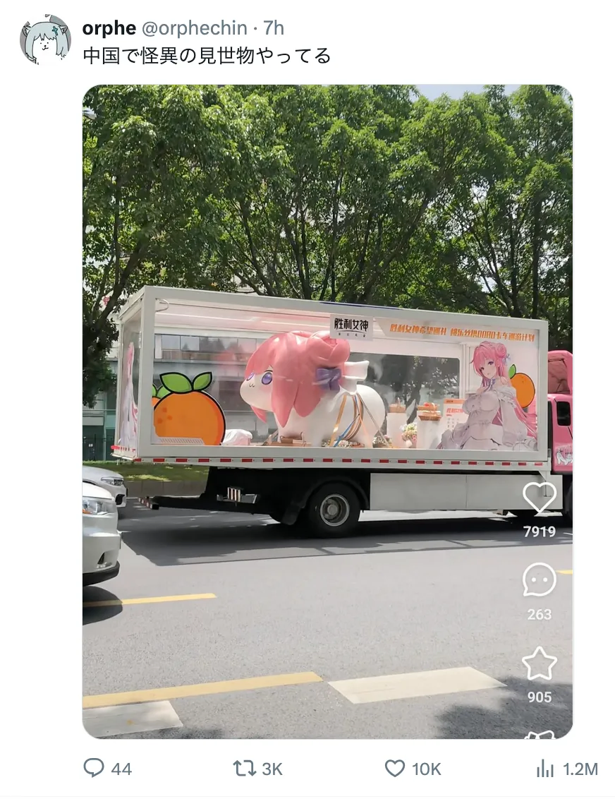 중국 도로 위 도로롱.jpg_1.webp