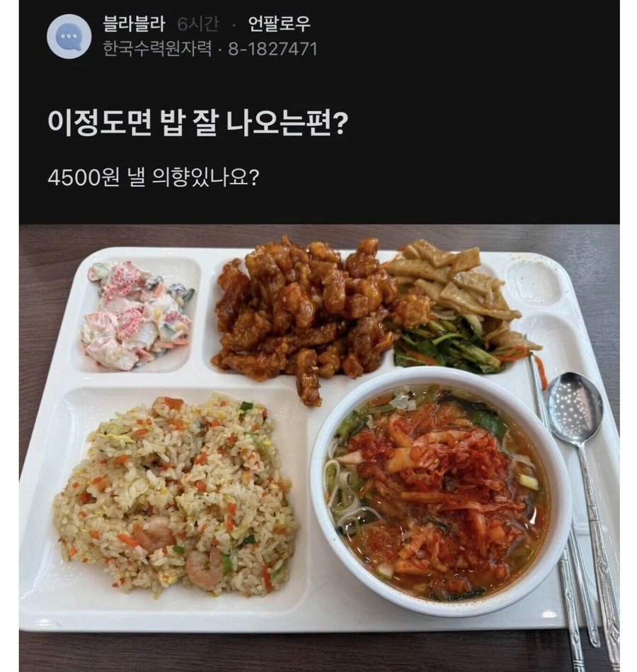 4500원 짜리 밥 괜찮은 거냐며 비틱질 하는 한국수력원자력.jpg_1.webp