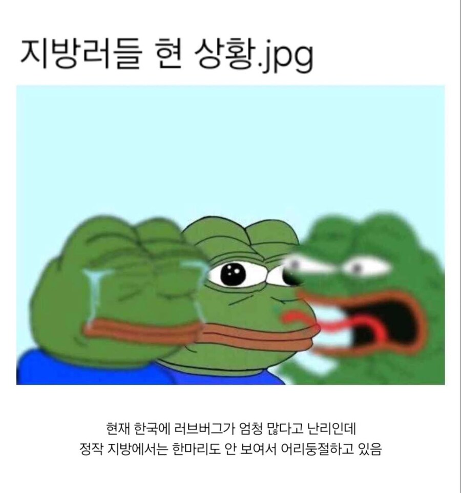 러브버그 지방 상황.jpg_1.jpg