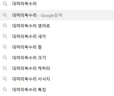 대머리독수리에 대한 사실_2.png