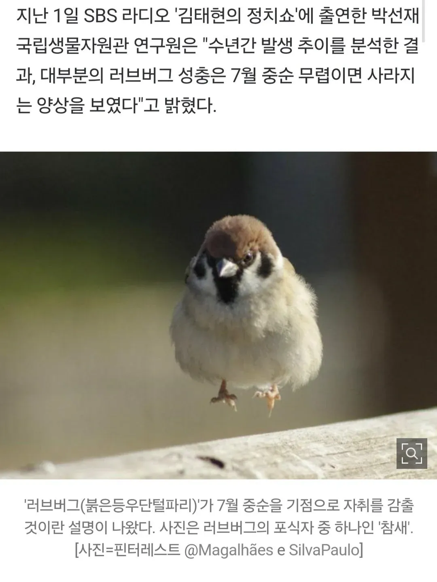 러브버그를 쓰러버릴 단 하나의 희망_1.webp
