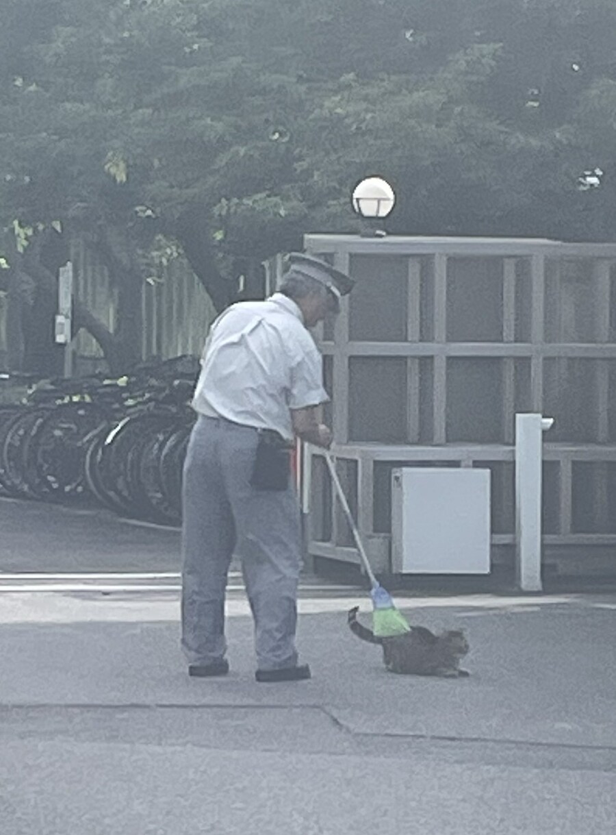 어느 학교 교문_1.png