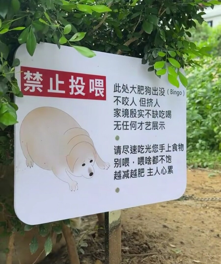 ‘먹이를 주지 마시오’_1.jpg