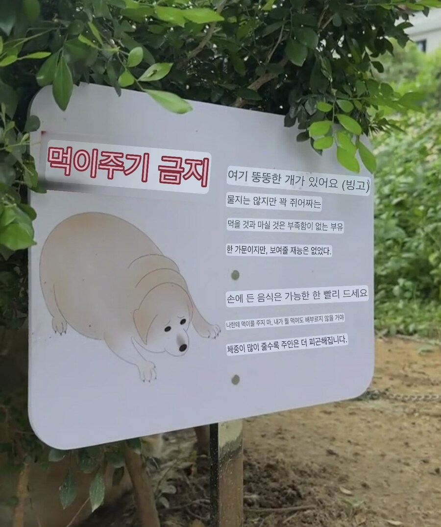 ‘먹이를 주지 마시오’_2.jpg