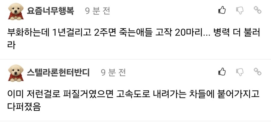부산에 러브버그 20마리 풀었다는 디시인.jpg_3.jpg