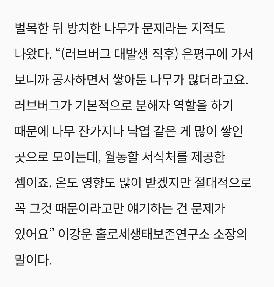 러브버그가 유입된 시기랑 대규모로 퍼진 시기가 다름_1.jpg
