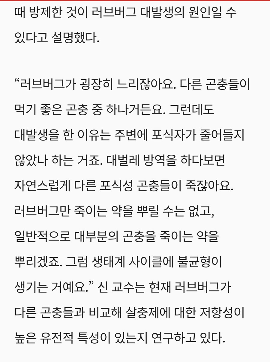 러브버그가 유입된 시기랑 대규모로 퍼진 시기가 다름_2.jpg