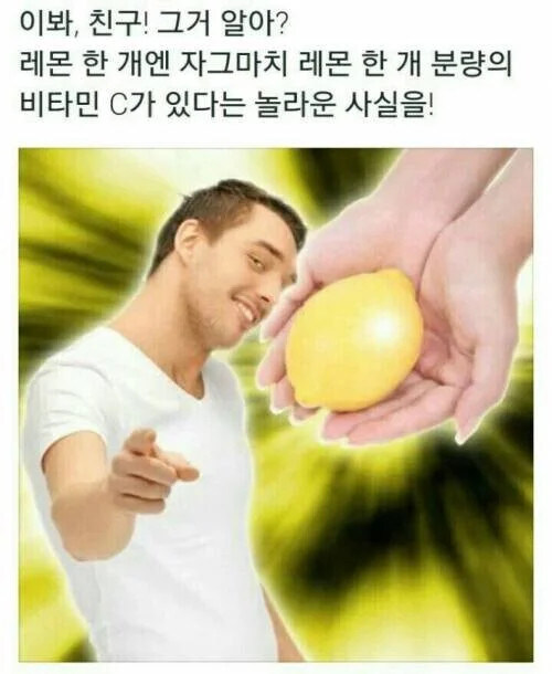 레몬한개엔 자그마치 레몬 한개 분량의 비타민 c가 들어있다_1.jpg
