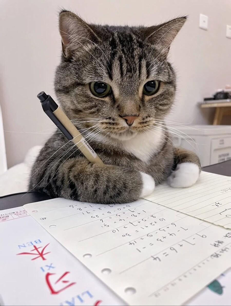 공부하기 싫은 냐옹이.._1.jpg