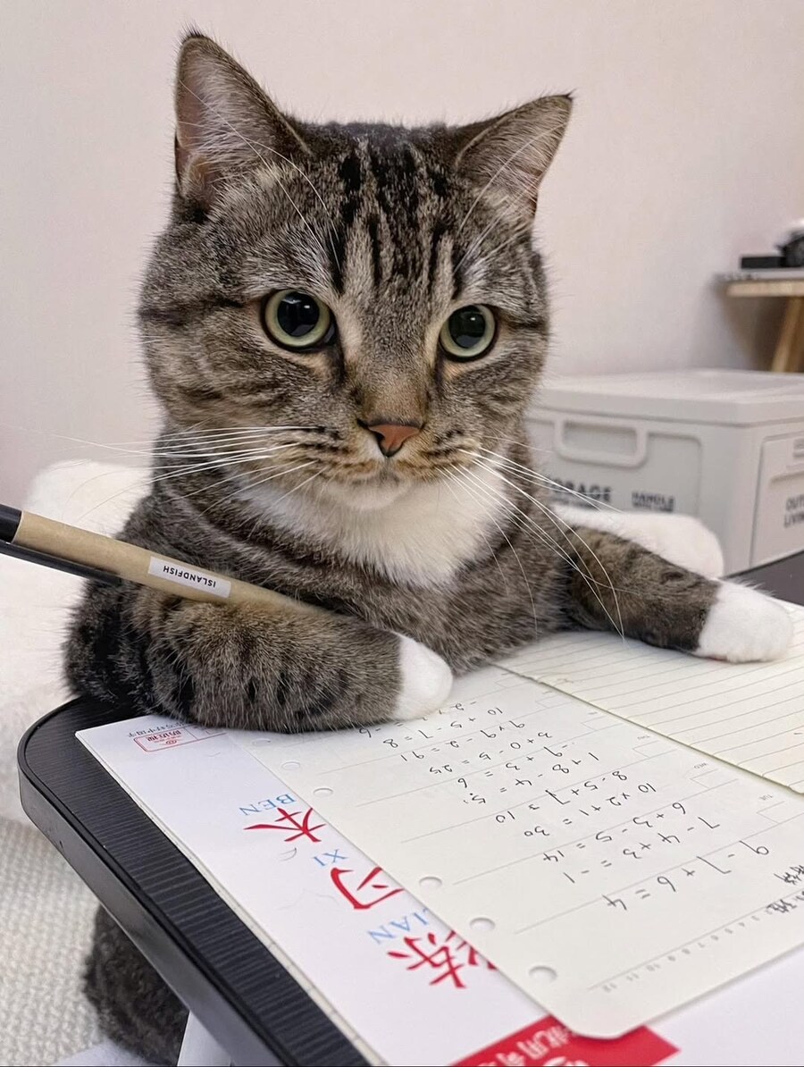 공부하기 싫은 냐옹이.._2.jpg